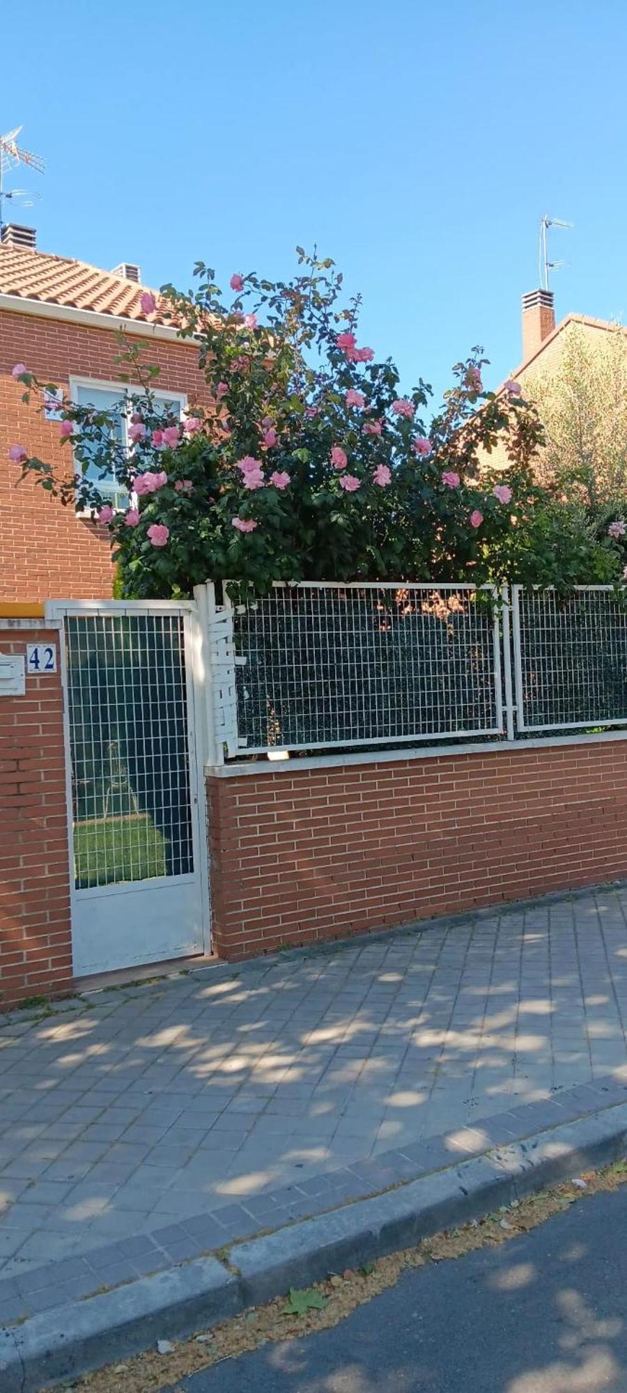 Villa Lendi Rivas-Vaciamadrid Buitenkant foto